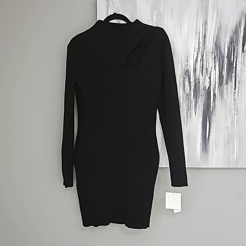Blacl Stretch Turtleneck dress